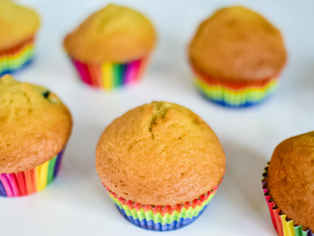 Rainbow muffins on backdrop
