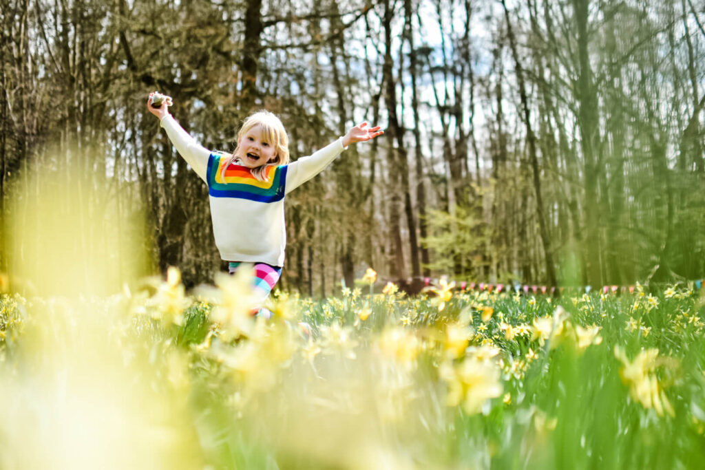 Getting out and about in the daffodils at Claremont Landscape Garden