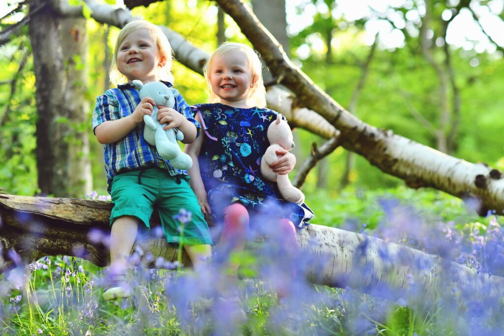 Bluebell photo of twigs 2018
