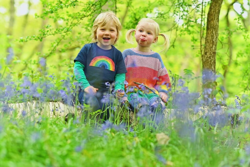 Bluebell photo of twigs 2019