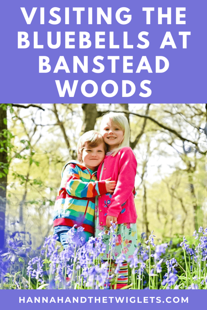 Bluebells at Banstead Woods Pinterest