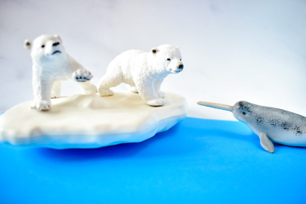 Polar playground