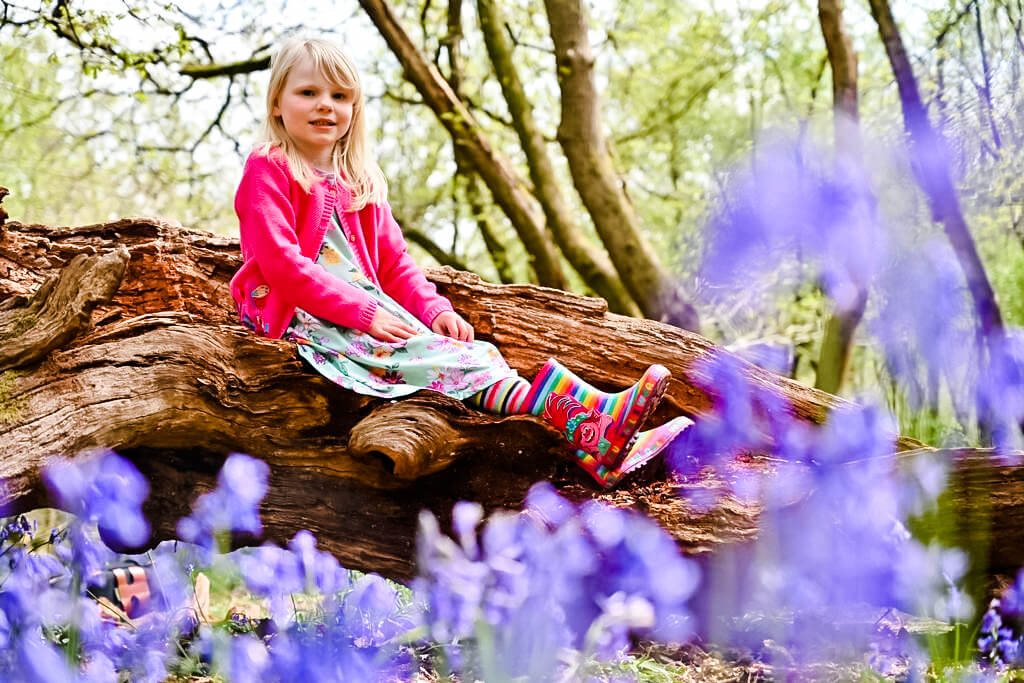 Girl in bluebell wood