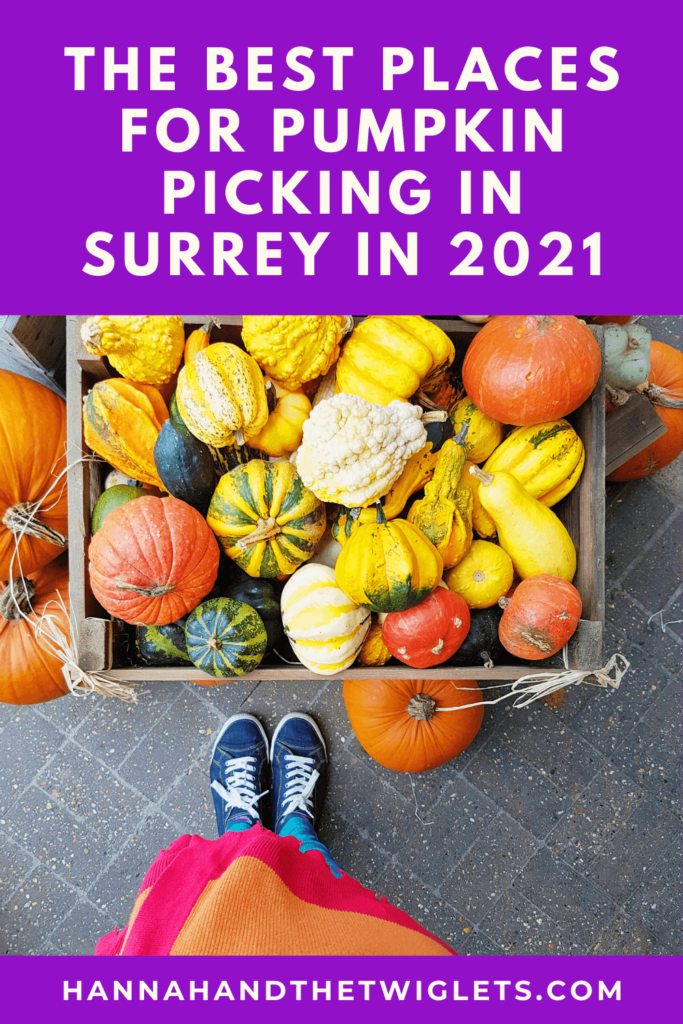 Pumpkin picking in Surrey 2021 Pinterest
